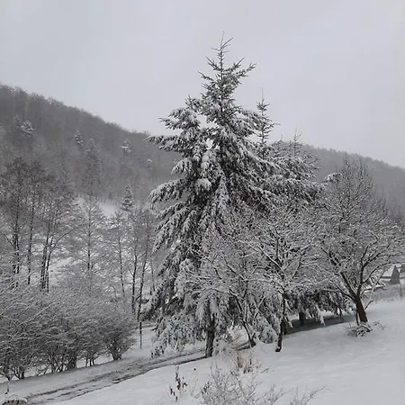 Apartmán Poza Czasem