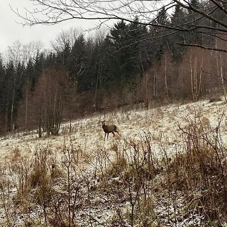 Apartmán Poza Czasem