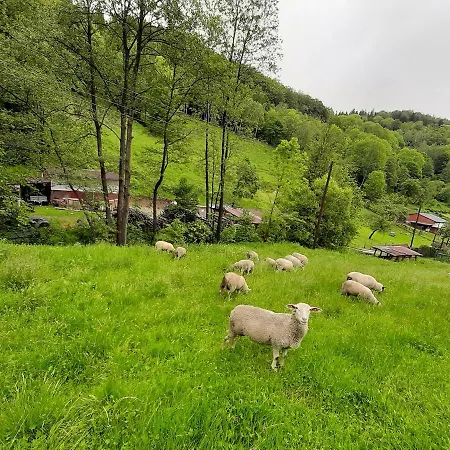 Poza Czasem * Bystrzyca Kłodzka