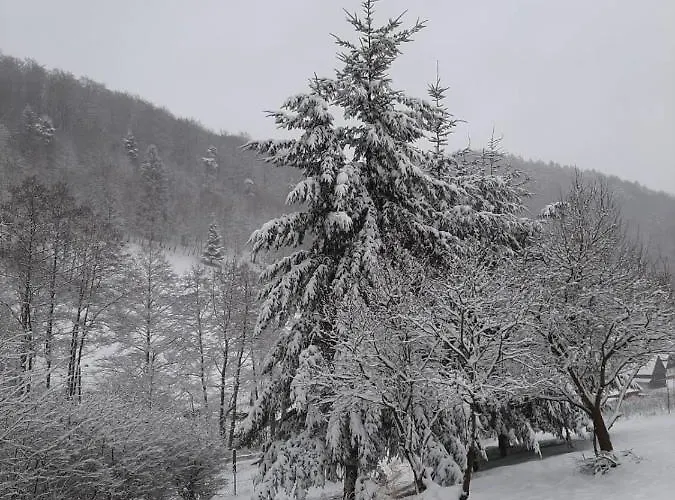 Appartement Poza Czasem