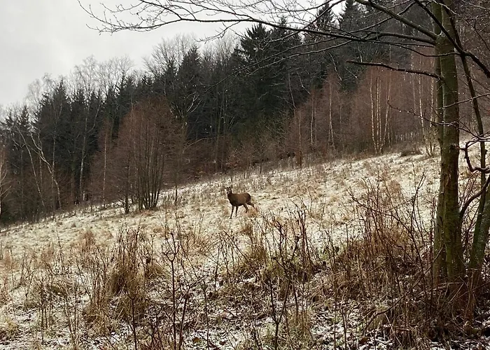 Appartement Poza Czasem