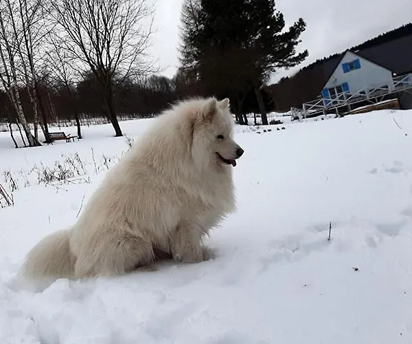 Poza Czasem * Bystrzyca Kłodzka