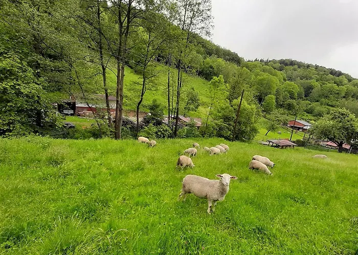 Poza Czasem * Bystrzyca Kłodzka
