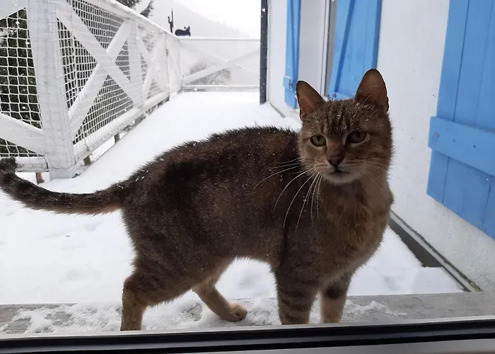 Appartement Poza Czasem *